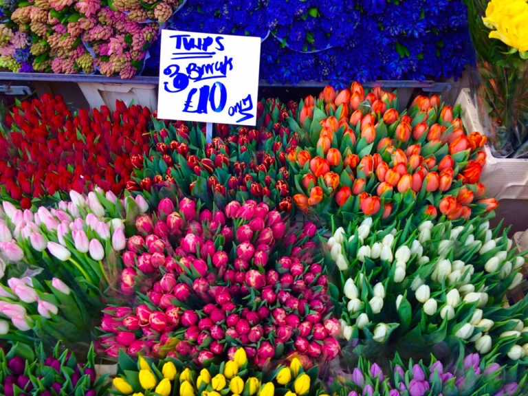 A morning at Columbia Road flower market in London